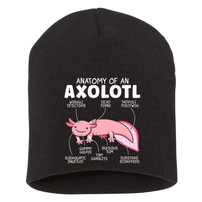 Anatomy Of An Askolotl Owner Mexican Walking Fish Lover Short Acrylic Beanie