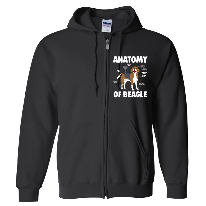 Anatomy Of A Beagle Meaningful Gift Full Zip Hoodie