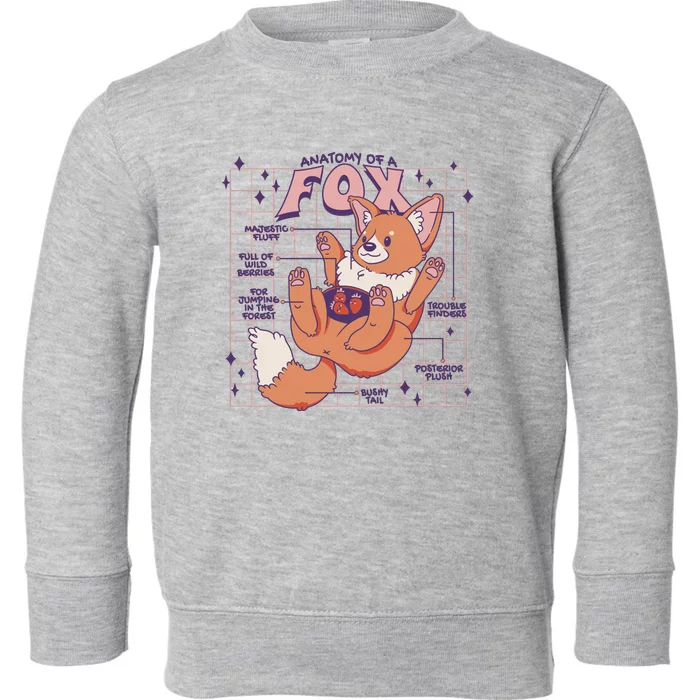 Anatomy Of A Fox Toddler Sweatshirt