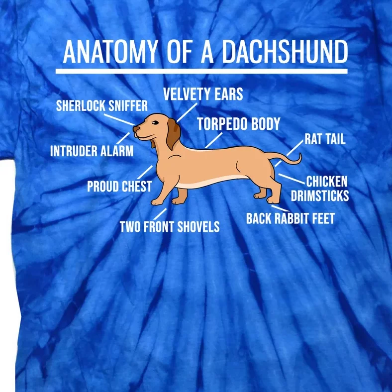 Anatomy Of A Dachshund Funny Gift Cute Funny Dog Puppy Tie-Dye T-Shirt