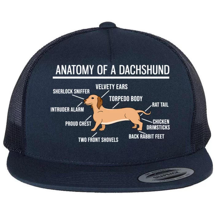 Anatomy Of A Dachshund Funny Gift Cute Funny Dog Puppy Flat Bill Trucker Hat