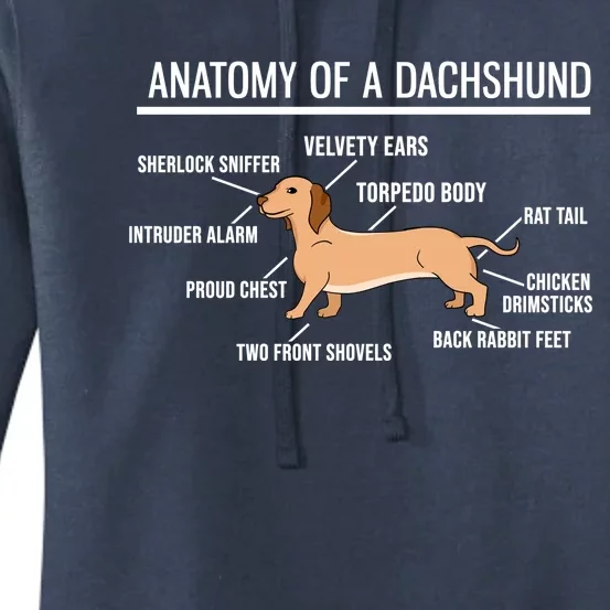 Anatomy Of A Dachshund Funny Gift Cute Funny Dog Puppy Women's Pullover Hoodie