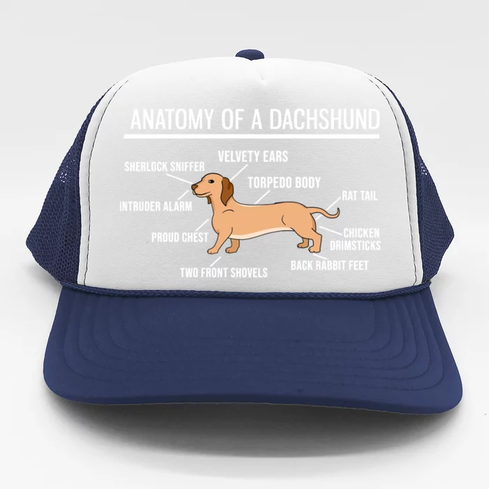 Anatomy Of A Dachshund Funny Gift Cute Funny Dog Puppy Trucker Hat