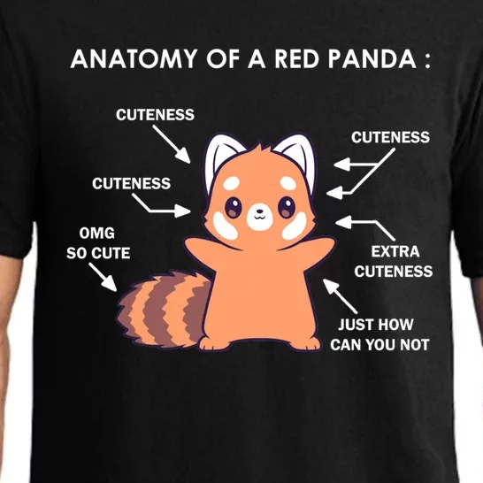 Anatomy Of A Red Panda Science Zoologist Red Panda Anatomy Gift Pajama Set