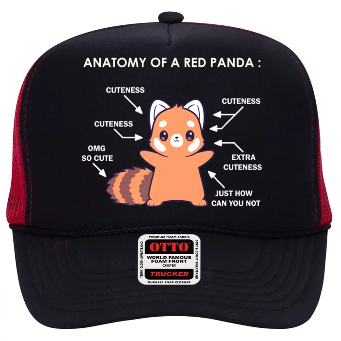 Anatomy Of A Red Panda Science Zoologist Red Panda Anatomy Gift High Crown Mesh Trucker Hat