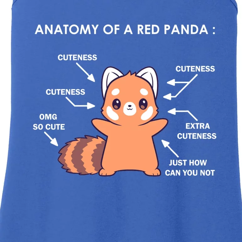 Anatomy Of A Red Panda Science Zoologist Red Panda Anatomy Gift Ladies Essential Tank