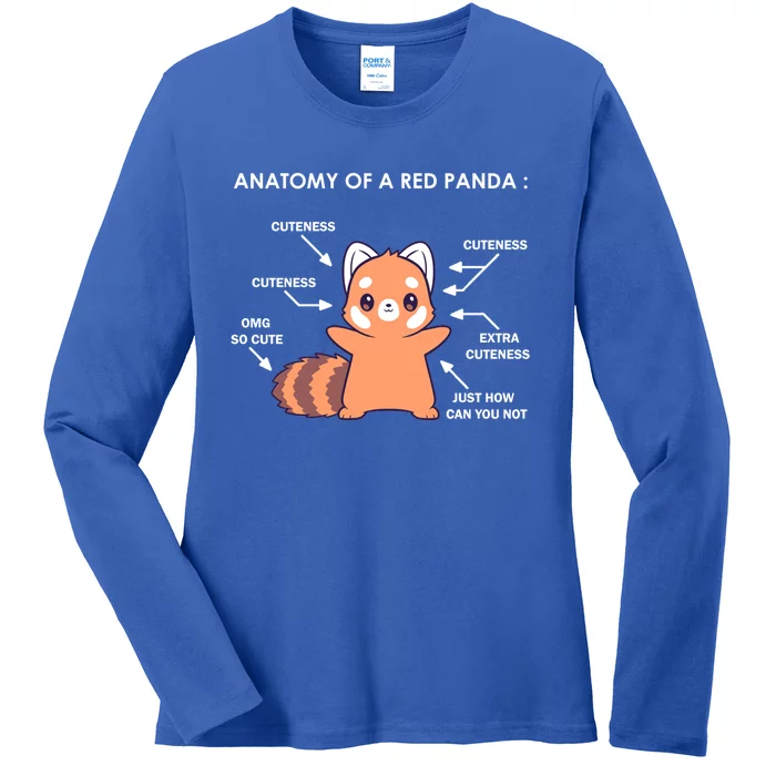 Anatomy Of A Red Panda Science Zoologist Red Panda Anatomy Gift Ladies Long Sleeve Shirt