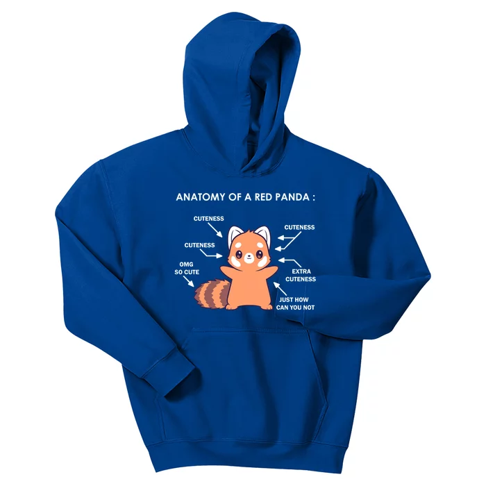 Anatomy Of A Red Panda Science Zoologist Red Panda Anatomy Gift Kids Hoodie