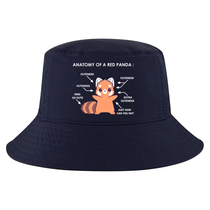 Anatomy Of A Red Panda Science Zoologist Red Panda Anatomy Gift Cool Comfort Performance Bucket Hat