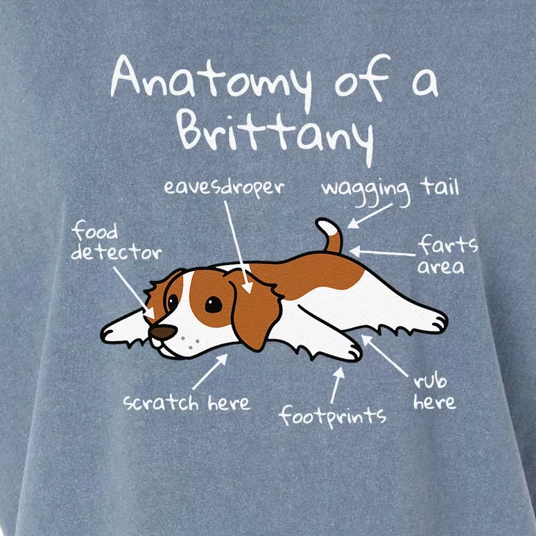 Anatomy Of A Brittany Spaniel Funny Dog Gift Garment-Dyed Women's Muscle Tee