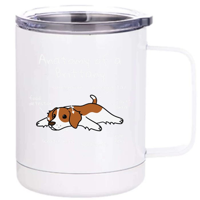 Anatomy Of A Brittany Spaniel Funny Dog Gift Front & Back 12oz Stainless Steel Tumbler Cup