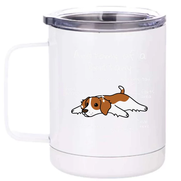 Anatomy Of A Brittany Spaniel Funny Dog Gift Front & Back 12oz Stainless Steel Tumbler Cup