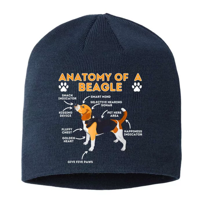 Anatomy Of A Beagle Funny Beagle Dog Lover 8 1/2in Sustainable Knit Beanie