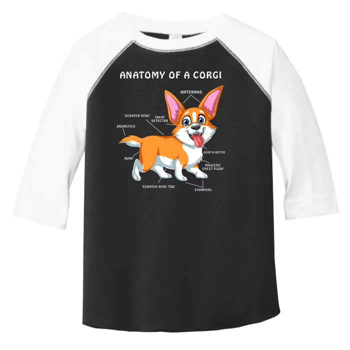 Anatomy Of A Corgi Toddler Fine Jersey T-Shirt