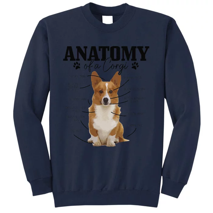 Anatomy Of A Corgi Funny Cute Dog Corgi Mom Corgi Dad Tall Sweatshirt