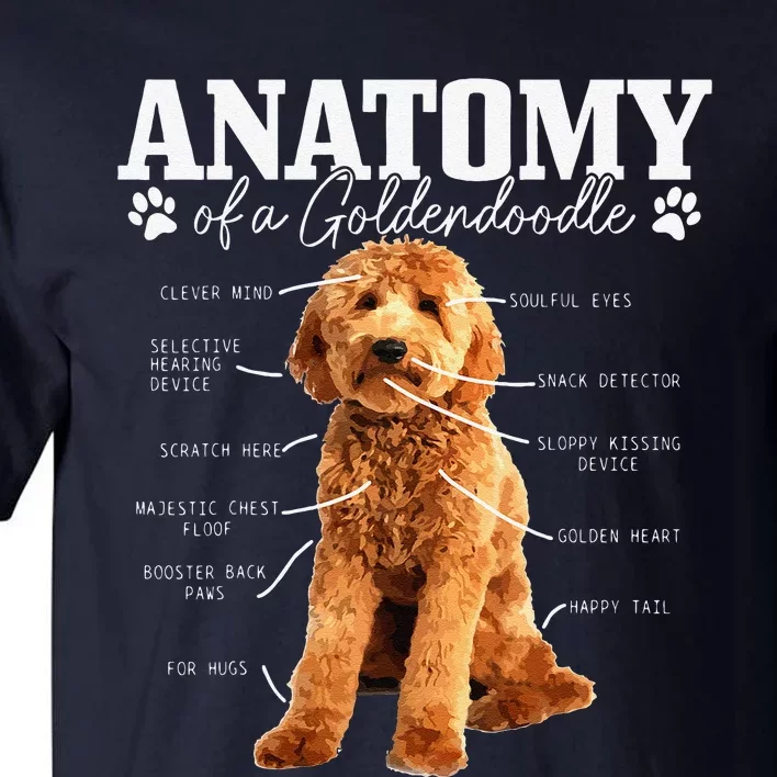 Anatomy Of A Goldendoodle Funny Cute Dog Doodle Mom Dad Tall T-Shirt