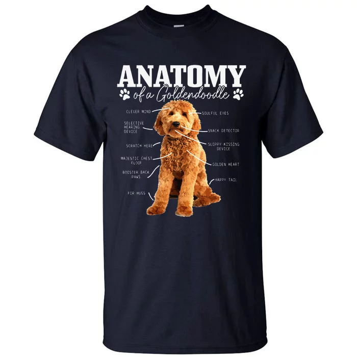 Anatomy Of A Goldendoodle Funny Cute Dog Doodle Mom Dad Tall T-Shirt