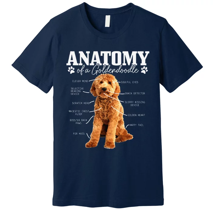 Anatomy Of A Goldendoodle Funny Cute Dog Doodle Mom Dad Premium T-Shirt