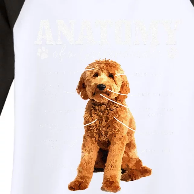 Anatomy Of A Goldendoodle Funny Cute Dog Doodle Mom Dad Women's Tri-Blend 3/4-Sleeve Raglan Shirt