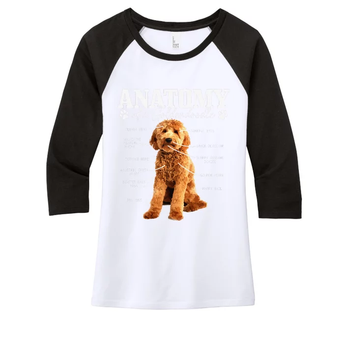 Anatomy Of A Goldendoodle Funny Cute Dog Doodle Mom Dad Women's Tri-Blend 3/4-Sleeve Raglan Shirt