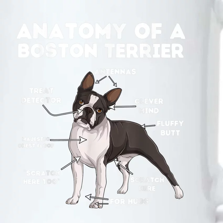 Anatomy Of A Boston Terrier Black Color Changing Mug