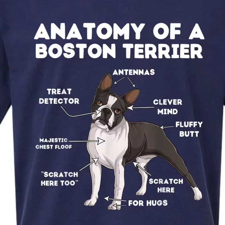 Anatomy Of A Boston Terrier Sueded Cloud Jersey T-Shirt