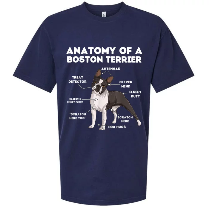 Anatomy Of A Boston Terrier Sueded Cloud Jersey T-Shirt