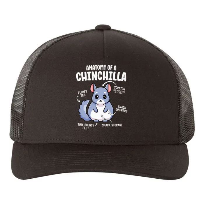 Anatomy Of A Chinchilla S For Women Lover Mom Yupoong Adult 5-Panel Trucker Hat