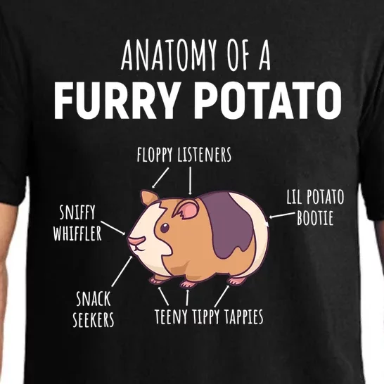 Anatomy Of A Furry Potato Guinea Pig Lover Gift TShirt Pajama Set