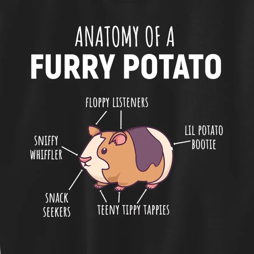 Anatomy Of A Furry Potato Guinea Pig Lover Gift TShirt Kids Sweatshirt