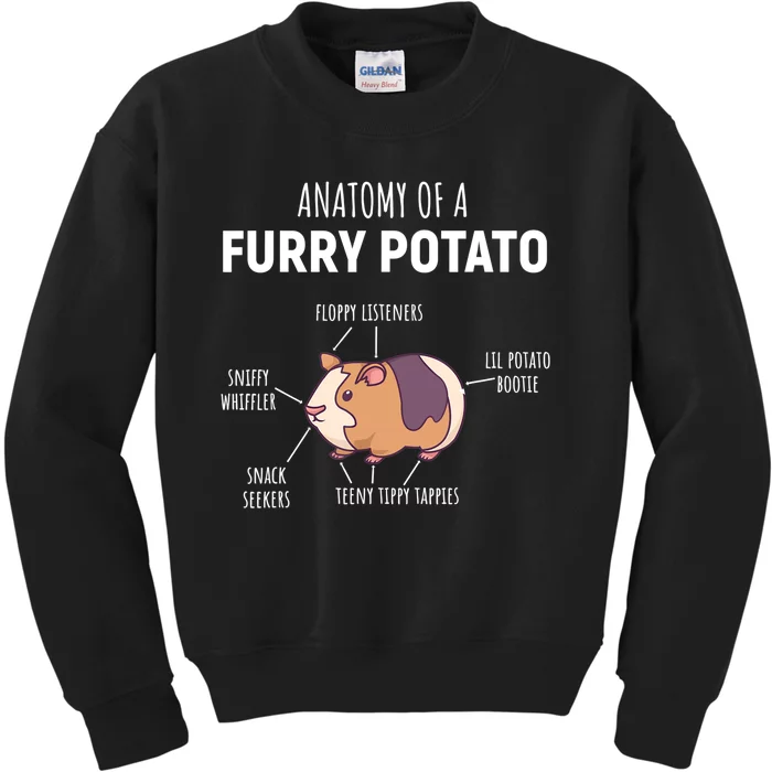 Anatomy Of A Furry Potato Guinea Pig Lover Gift TShirt Kids Sweatshirt