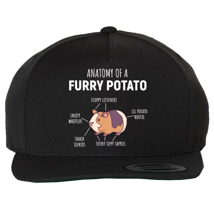 Anatomy Of A Furry Potato Guinea Pig Lover Gift TShirt Wool Snapback Cap