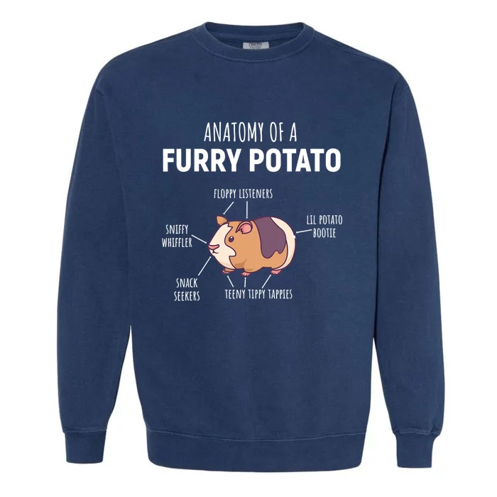 Anatomy Of A Furry Potato Guinea Pig Lover Gift TShirt Garment-Dyed Sweatshirt