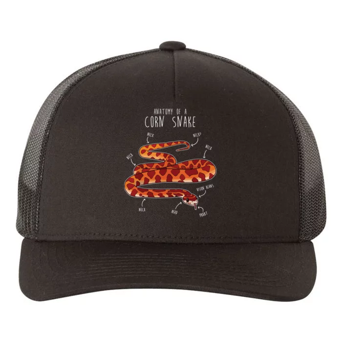 Anatomy Of A Corn Snake Funny Pet Reptile Snake Lover Yupoong Adult 5-Panel Trucker Hat