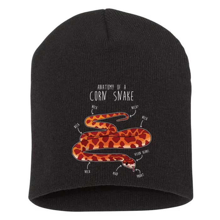 Anatomy Of A Corn Snake Funny Pet Reptile Snake Lover Short Acrylic Beanie