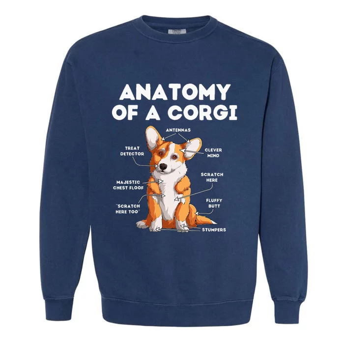 Anatomy Of A Corgi Garment-Dyed Sweatshirt