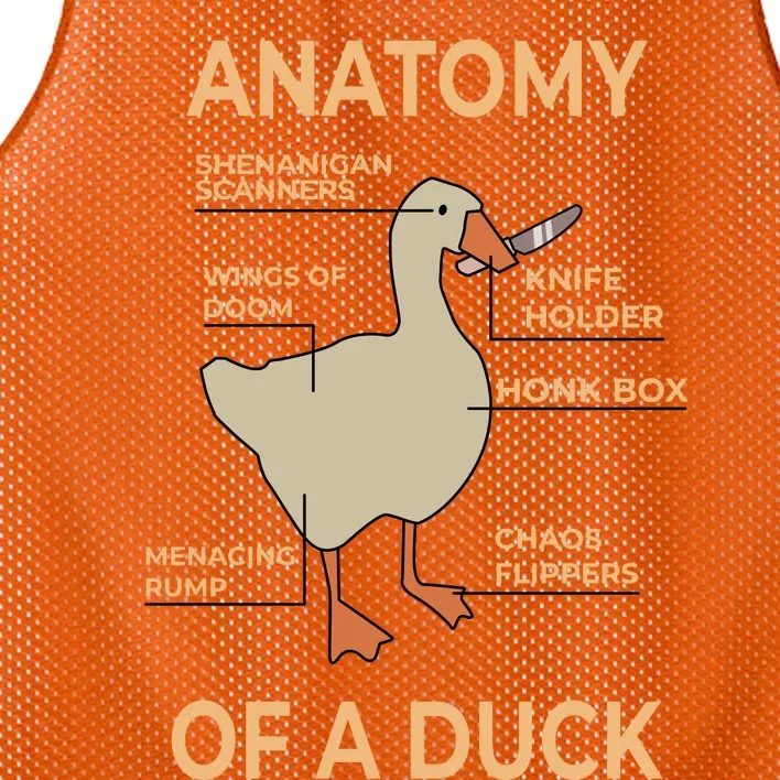 Anatomy Of A Duck Mesh Reversible Basketball Jersey Tank