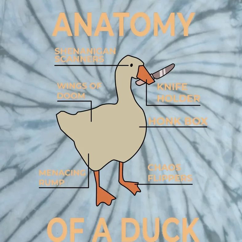 Anatomy Of A Duck Tie-Dye T-Shirt