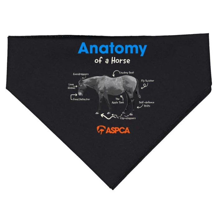 Anatomy Of A Horse USA-Made Doggie Bandana