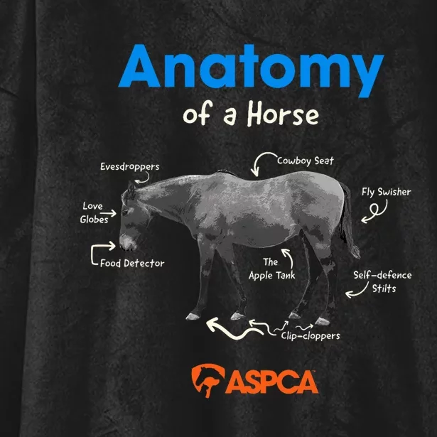 Anatomy Of A Horse Hooded Wearable Blanket