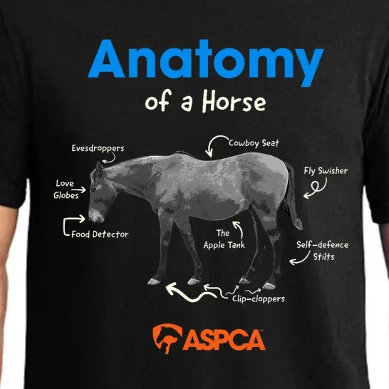 Anatomy Of A Horse Pajama Set