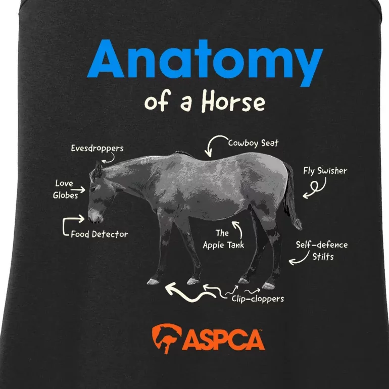 Anatomy Of A Horse Ladies Essential Tank