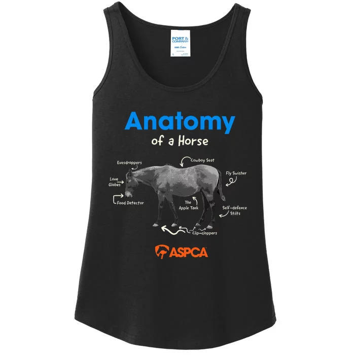 Anatomy Of A Horse Ladies Essential Tank