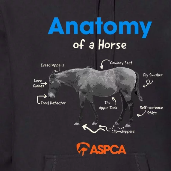 Anatomy Of A Horse Premium Hoodie