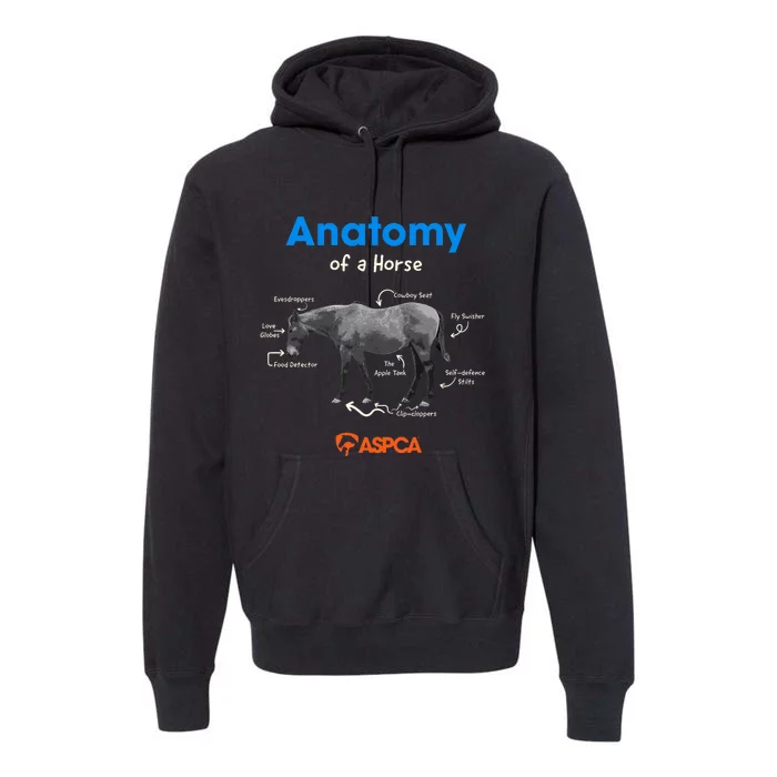 Anatomy Of A Horse Premium Hoodie