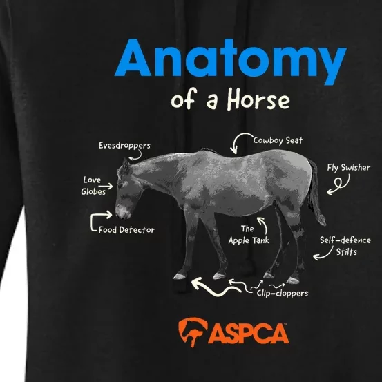 Anatomy Of A Horse Women's Pullover Hoodie