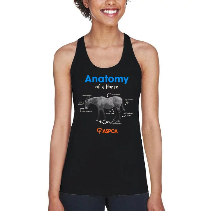 Anatomy Of A Horse Women's Racerback Tank