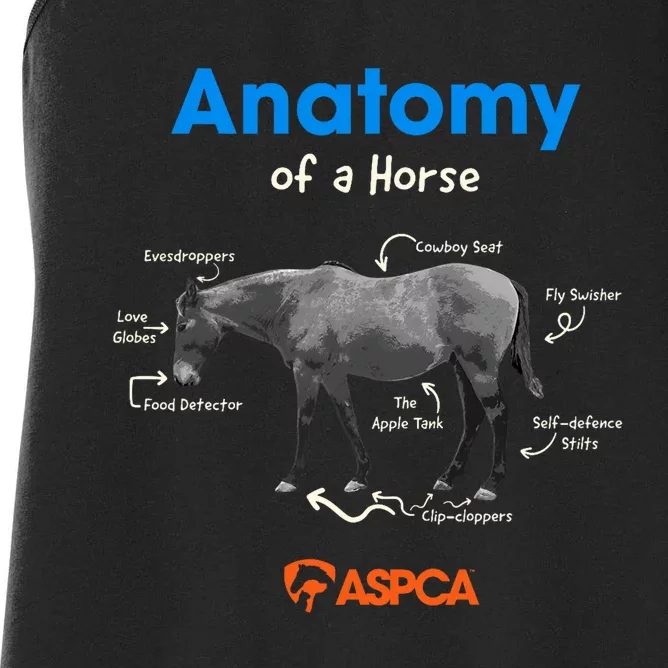 Anatomy Of A Horse Women's Racerback Tank