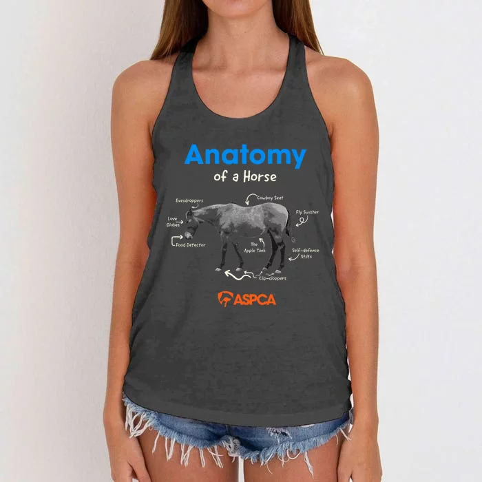 Anatomy Of A Horse Women's Knotted Racerback Tank