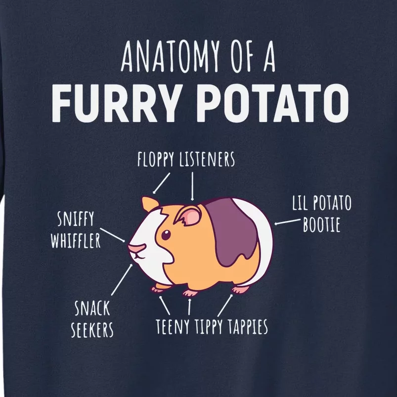 Anatomy Of A Furry Potato Guinea Pig Lover Gift Sweatshirt